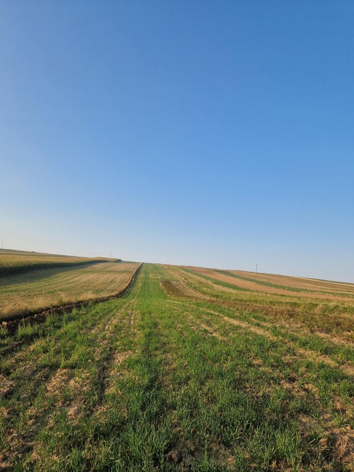 Działka rolna Buszków. Zdjęcie 4
