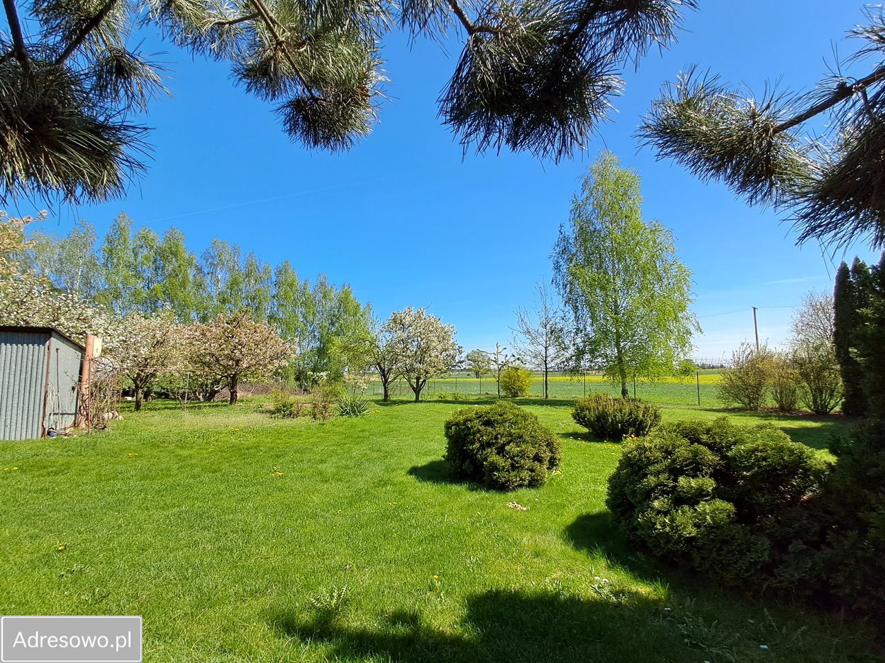 Działka budowlana Bogucin. Zdjęcie 12