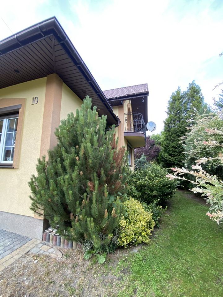 dom wolnostojący Łopuszno. Zdjęcie 5