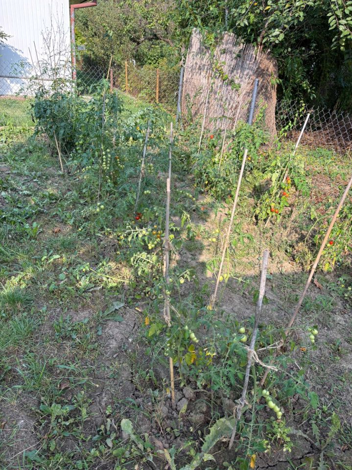 Działka rod Warszawa Mokotów. Zdjęcie 2