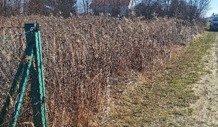 Działka budowlana Wojszyn