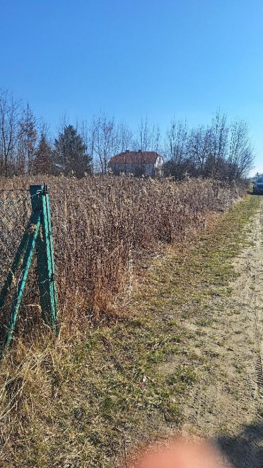 Działka budowlana Wojszyn. Zdjęcie 1