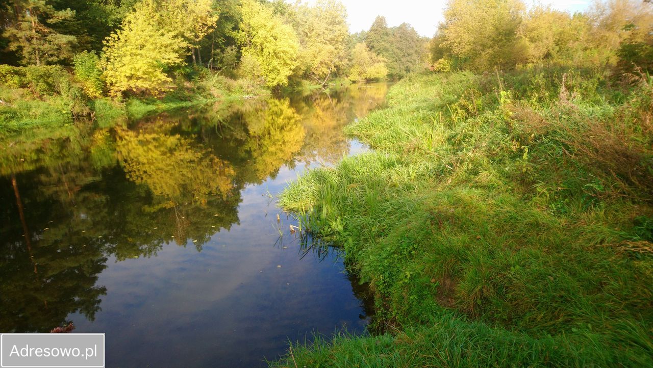 Działka budowlana Popielżyn-Zawady. Zdjęcie 3