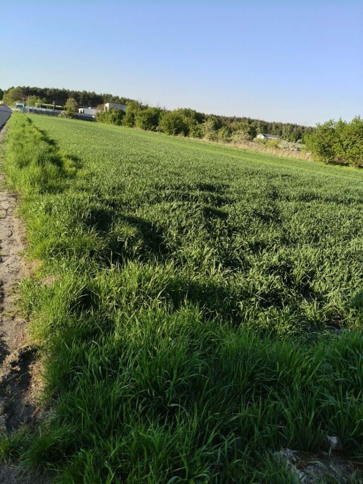 Działka budowlana Jaskółki. Zdjęcie 4