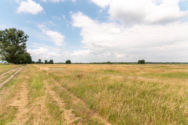 Działka rolna Rurzyca, ul. Łąkowa. Zdjęcie 1