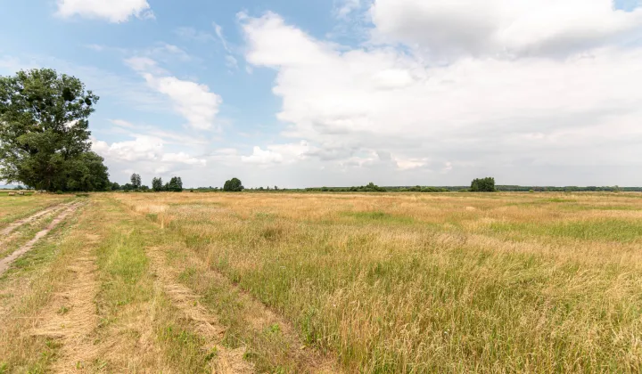 Działka rolna Rurzyca, ul. Łąkowa