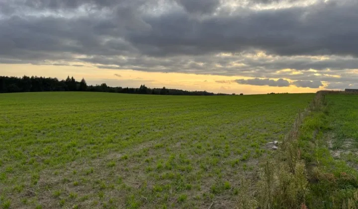 Działka budowlana Szymbark, ul. Jagodowa