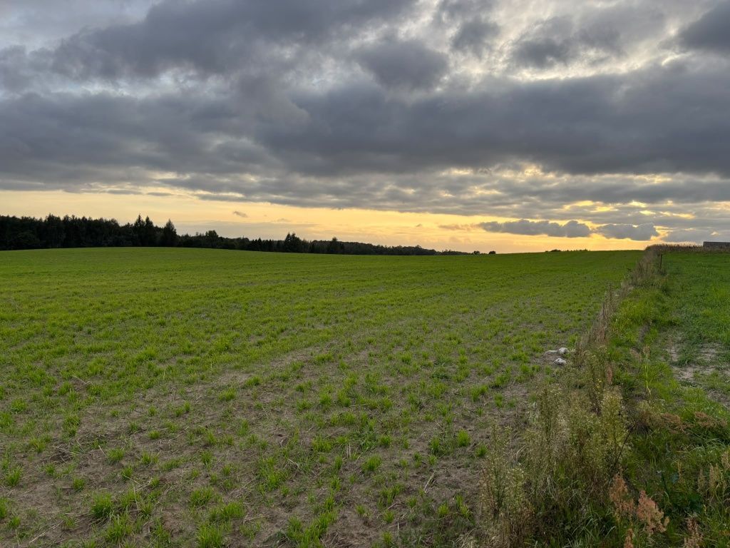 Działka budowlana Szymbark, ul. Jagodowa. Zdjęcie 1