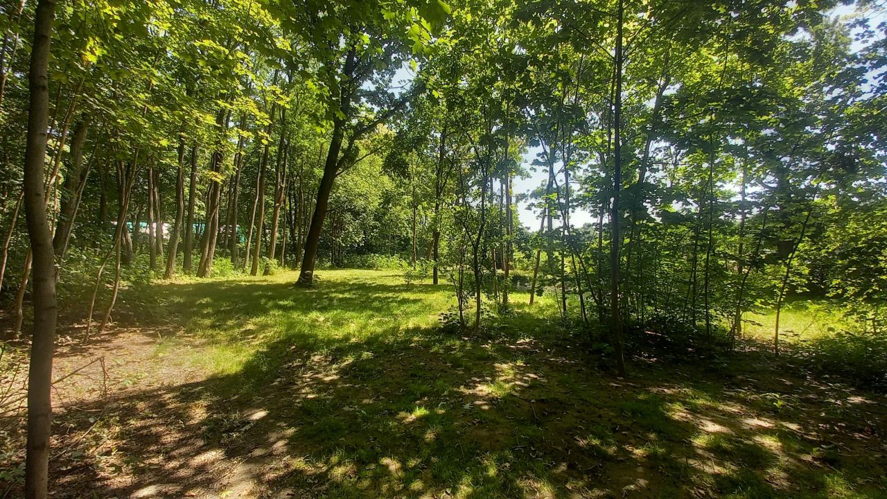 Działka leśna Podkowa Leśna, ul. Głogów. Zdjęcie 4