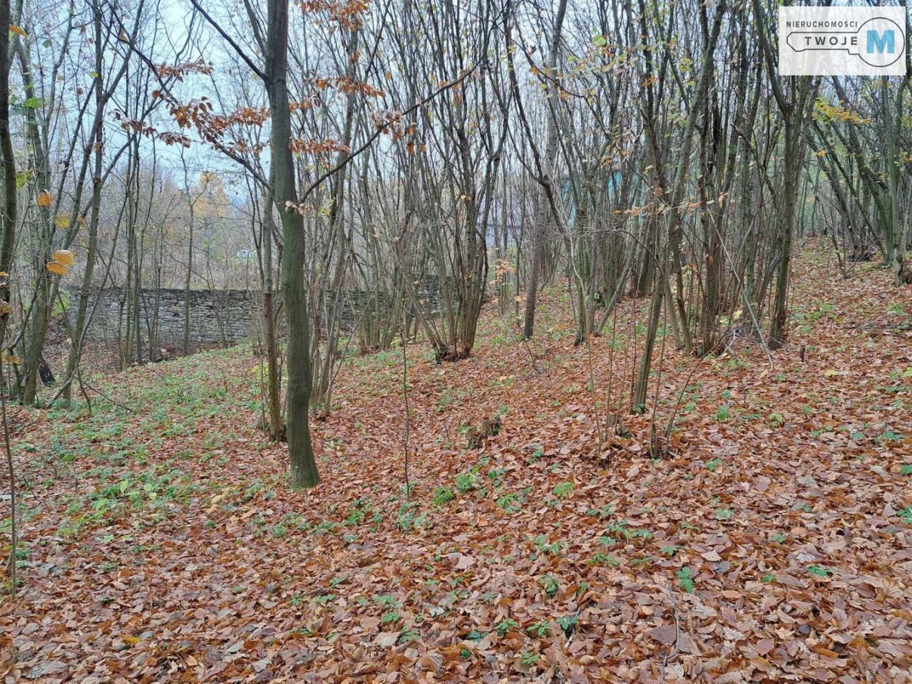 Działka Chęciny. Zdjęcie 6