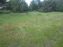 Działka rolno-budowlana Mniszki A Mniszki B. Zdjęcie 3