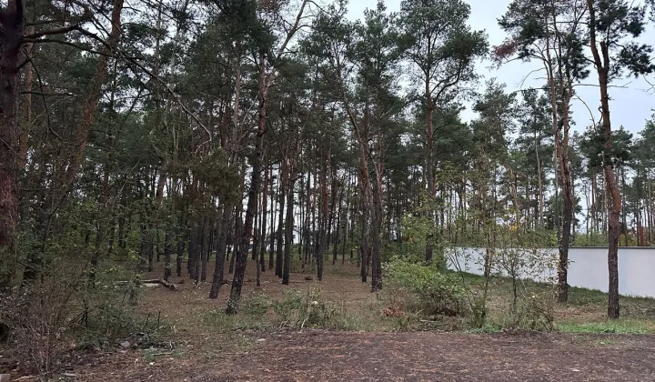 Działka inwestycyjna Marki, ul. Hetmańska