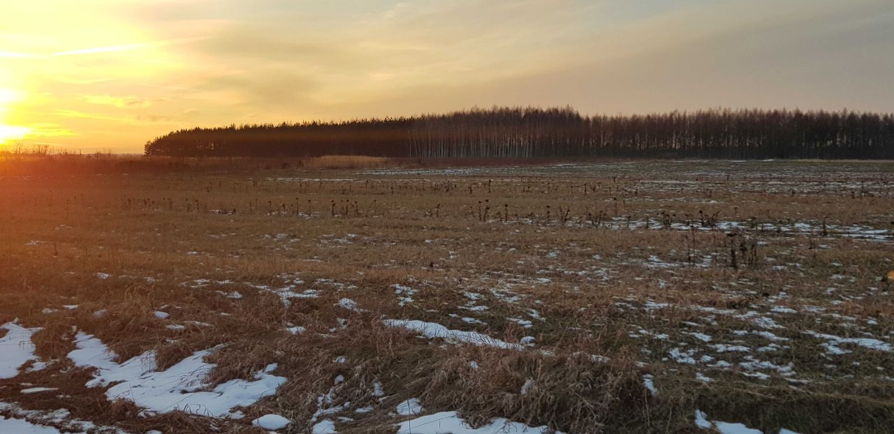 Działka budowlana Guzów. Zdjęcie 4