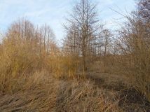 Działka rekreacyjna Wola Jabłońska. Zdjęcie 1