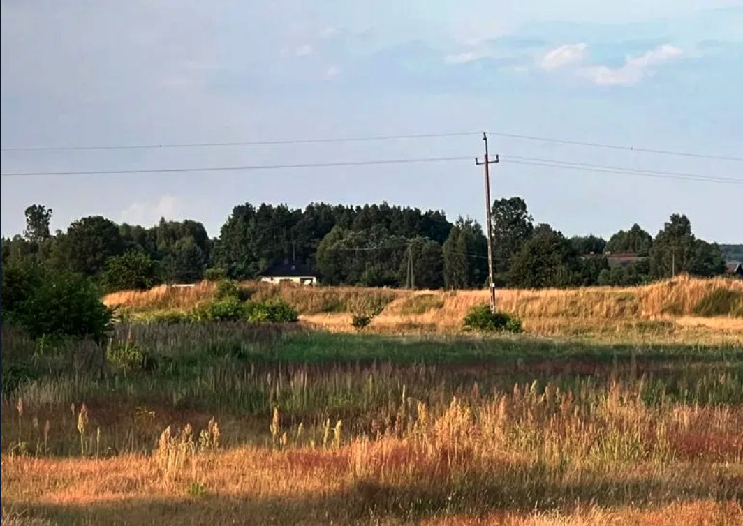 Działka rolna Stęszów. Zdjęcie 5