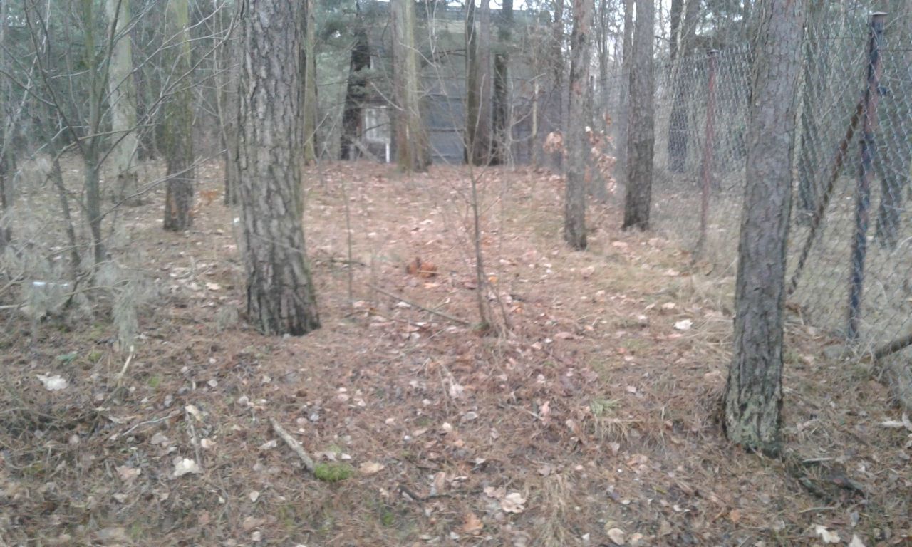 Działka rolno-budowlana Nowy Starogród. Zdjęcie 8