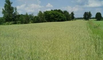 Działka rolna Dobryłów
