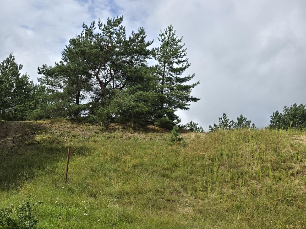 Działka budowlana Rolbik. Zdjęcie 8