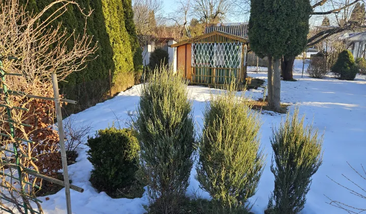 Działka rod Tczew Piotrowo, ul. Rokicka