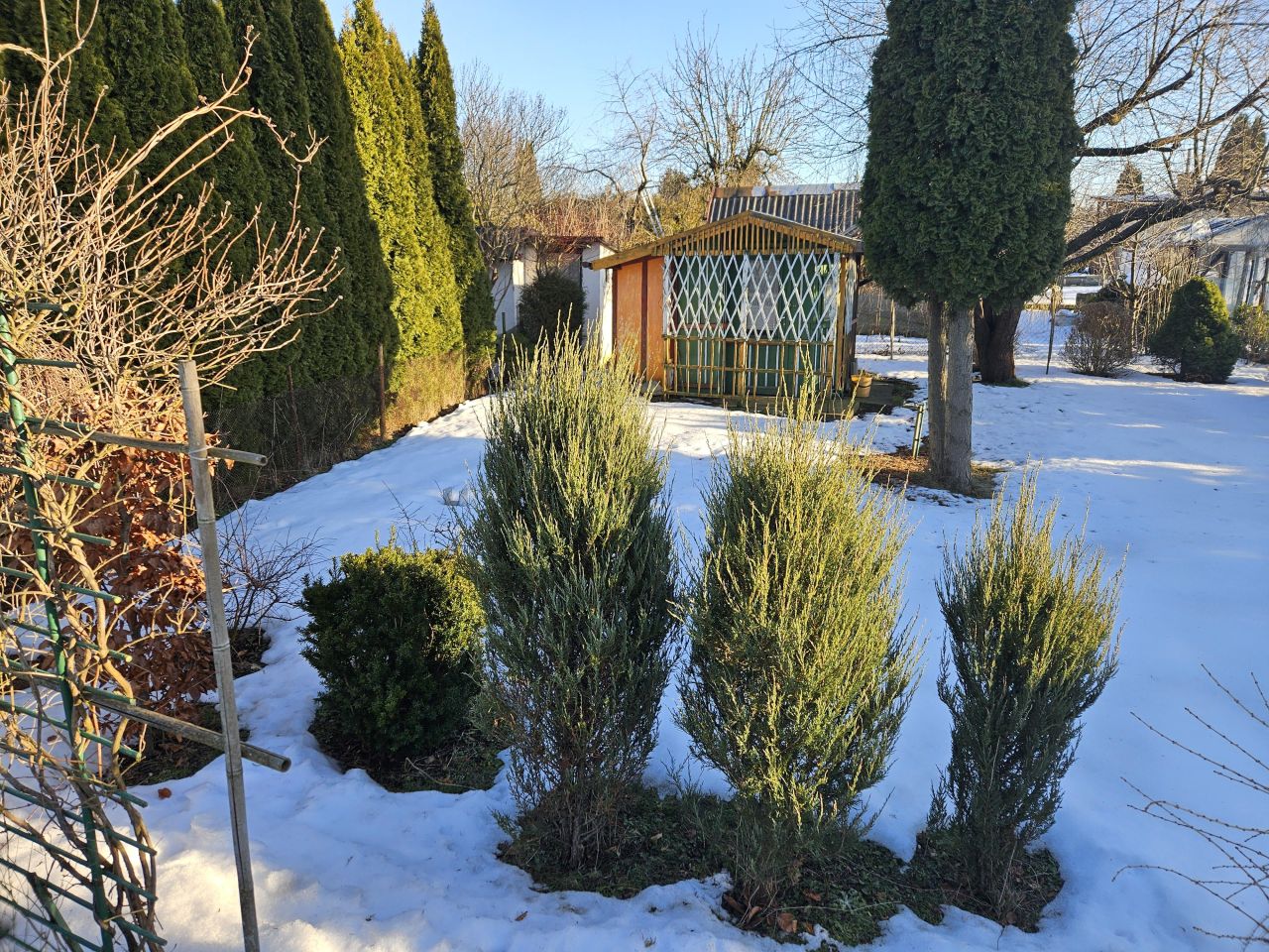 Działka rod Tczew Piotrowo, ul. Rokicka. Zdjęcie 1