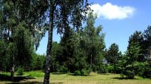 Działka budowlana Częstochowa Mirów, ul. Hektarowa. Zdjęcie 1