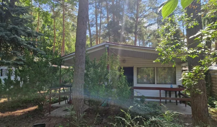 Działka rekreacyjna Wilczyn
