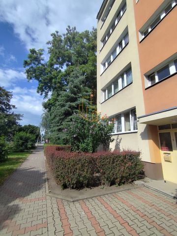 Mieszkanie 2-pokojowe Wrocław, ul. Długa. Zdjęcie 13