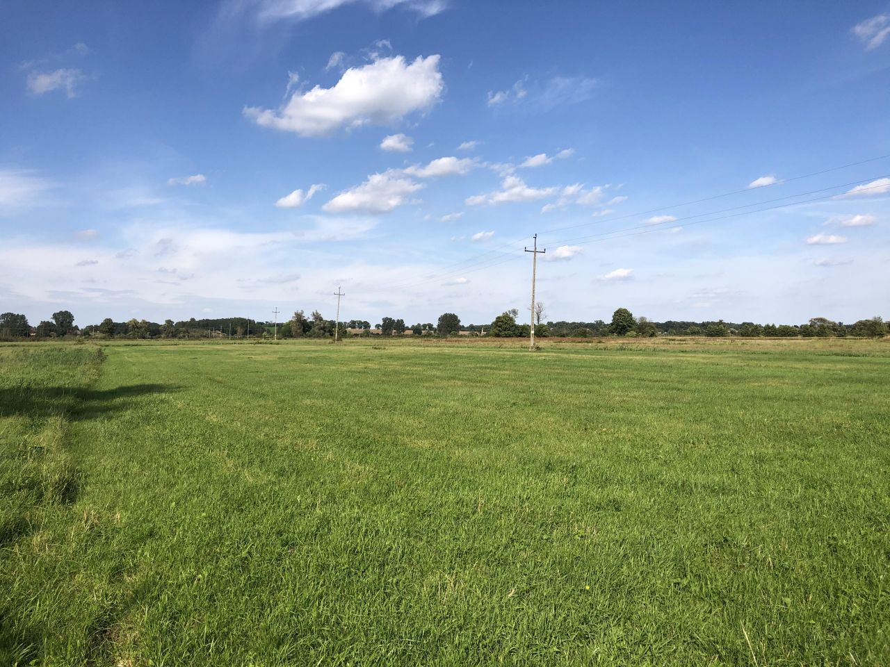 Działka rolno-budowlana Jerwonice. Zdjęcie 2