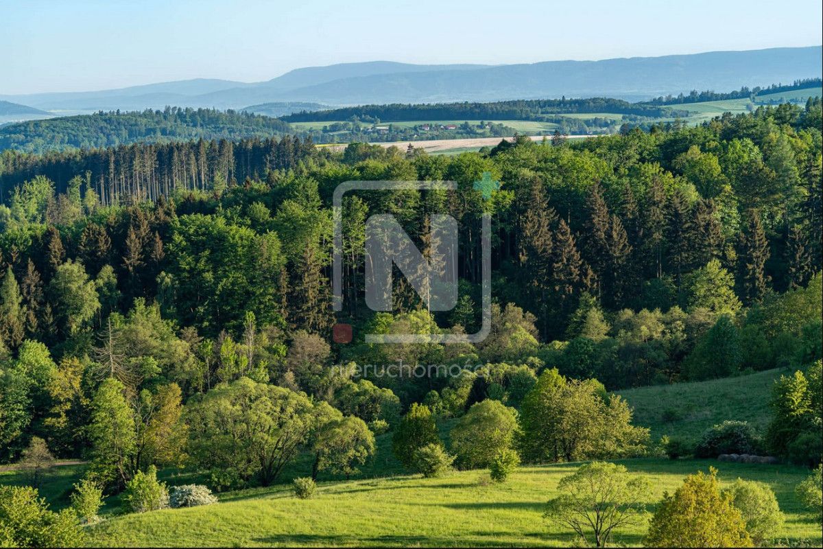 Działka budowlana Karpacz Wilcza Poręba. Zdjęcie 6