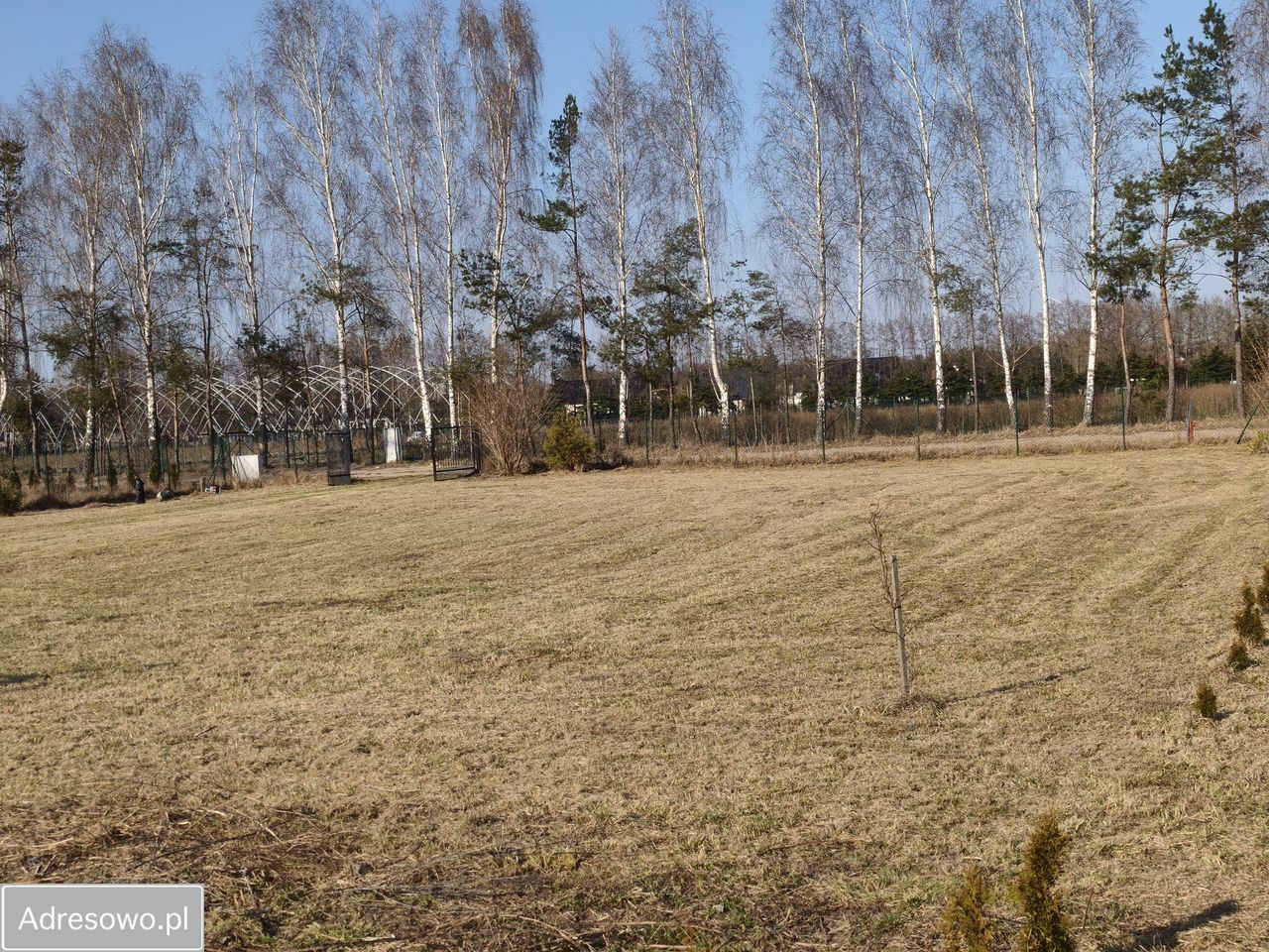 Działka budowlana Rybno Wielkie, ul. Borówkowa. Zdjęcie 11