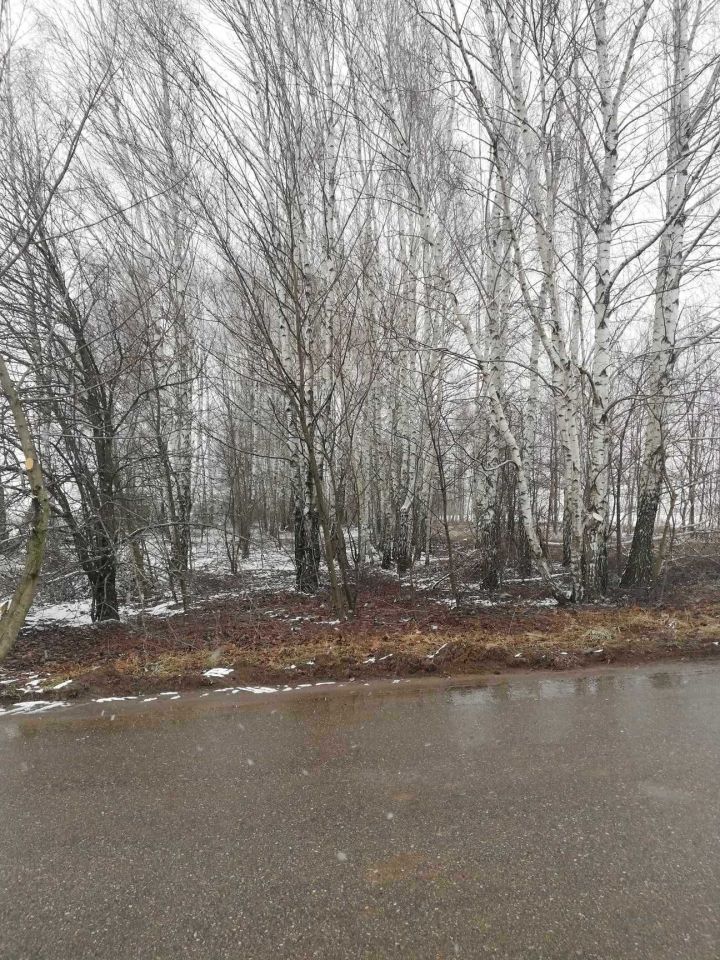 Działka budowlana Okrzeja. Zdjęcie 5