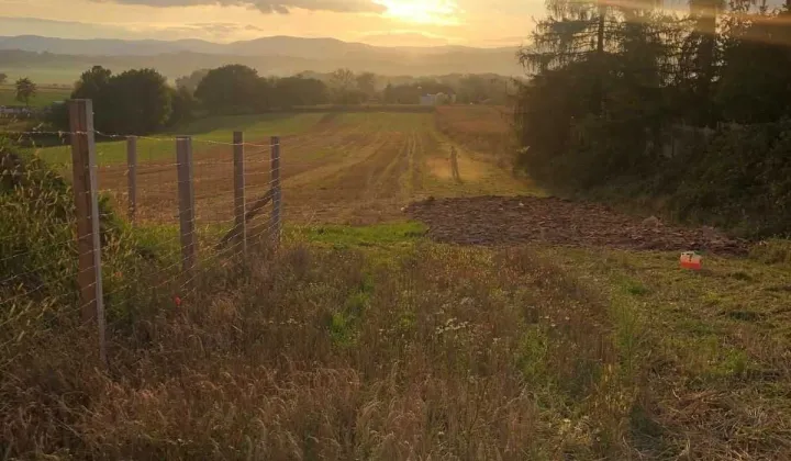 Działka budowlana Piława Górna
