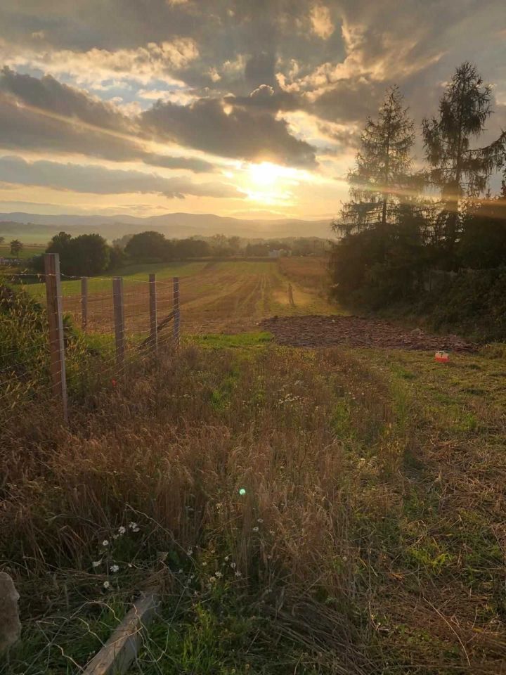 Działka budowlana Piława Górna