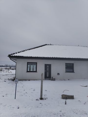 bliźniak Brzezie k. Sulechowa, ul. Juliana Fałata. Zdjęcie 1