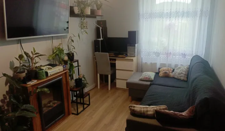 Mieszkanie 2-pokojowe Marciszów, ul. Główna