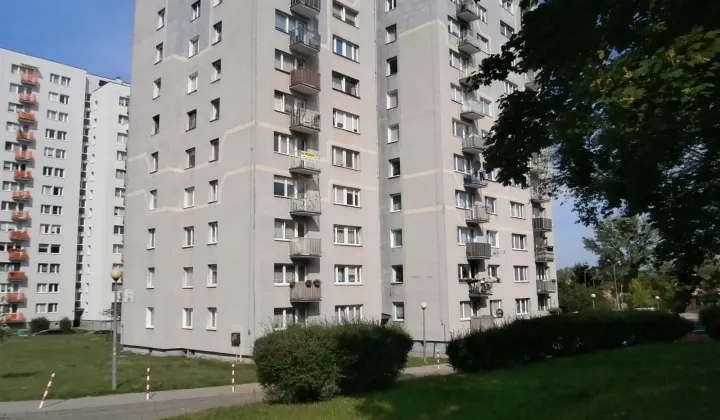 Mieszkanie 3-pokojowe Zielona Góra