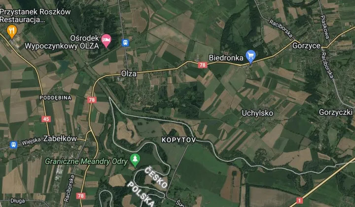 Działka rolna Olza, ul. Wiejska