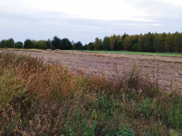 Działka budowlana Skrobów-Kolonia. Zdjęcie 1