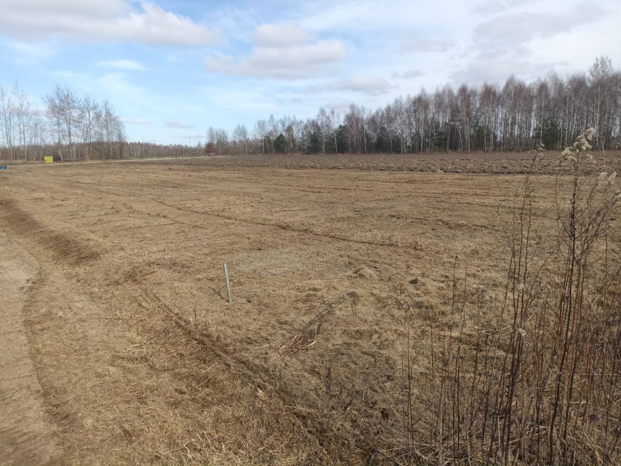 Działka budowlana Jędrzejnik. Zdjęcie 3