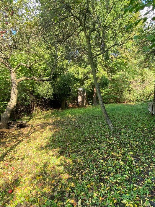 Działka rod Będzin Grodziec. Zdjęcie 4