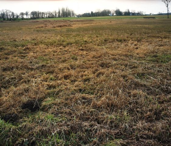 Działka rolna Piaskowo. Zdjęcie 1