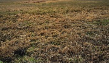 Działka rolna Piaskowo