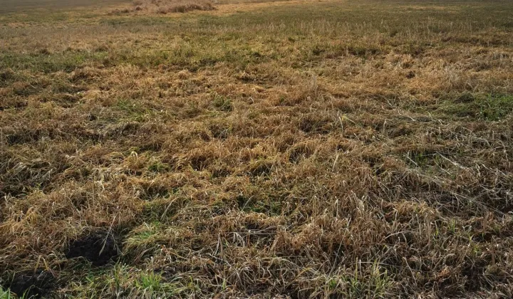 Działka rolna Piaskowo