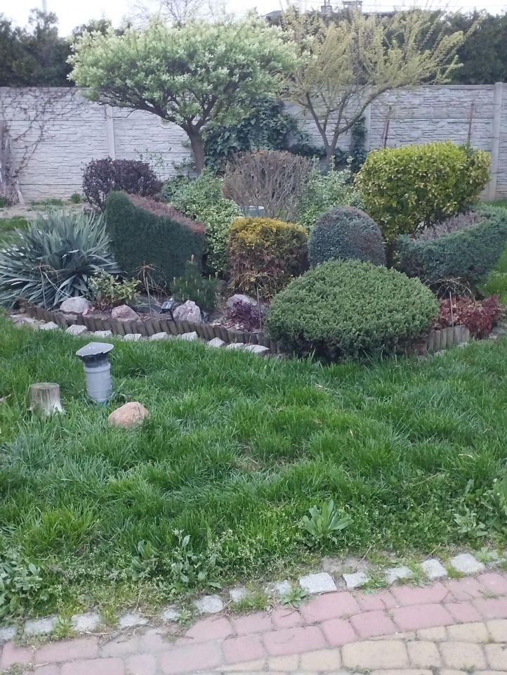 dom wolnostojący, 4 pokoje Brzezinka, ul. Torowa. Zdjęcie 11