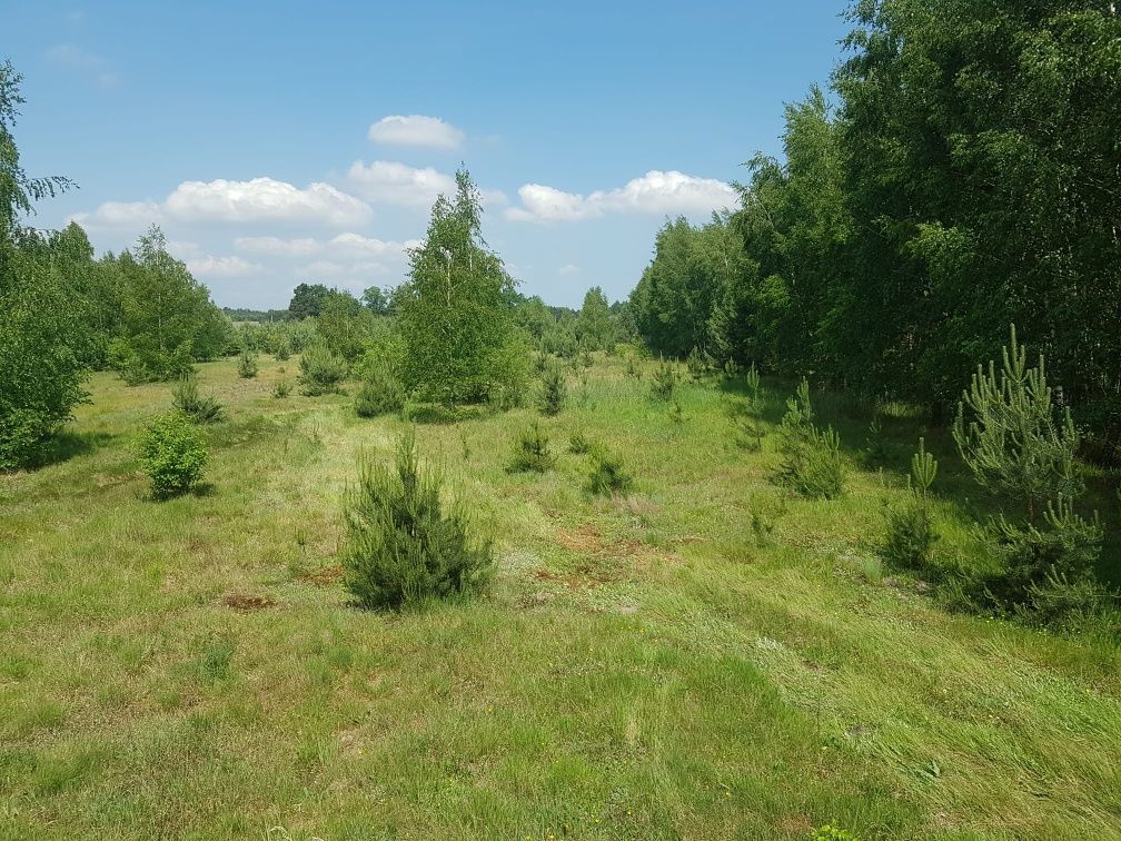 Działka budowlana Gilówka Górna. Zdjęcie 3