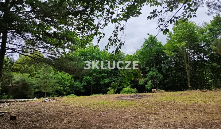 Działka budowlana Dąbrowica