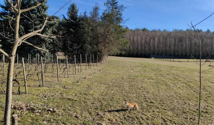 Działka budowlana Letnica