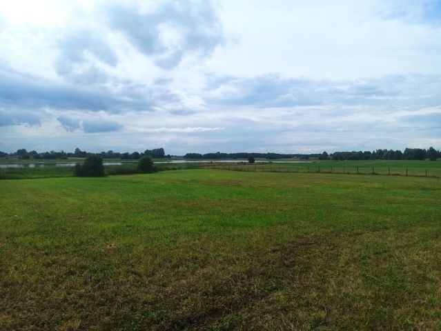 Działka rolna Tajno Podjeziorne. Zdjęcie 1