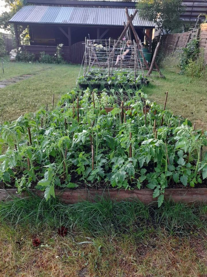 Działka rod Grójec. Zdjęcie 5