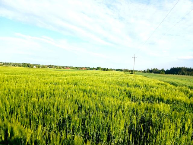 Działka budowlana Nasutów. Zdjęcie 1